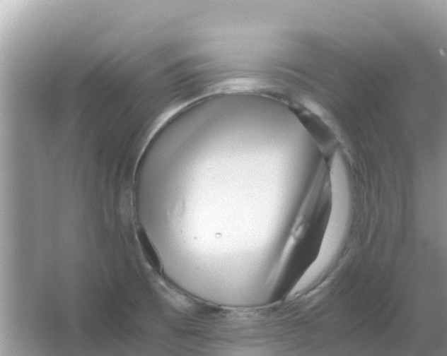 X0000066021473200603312036