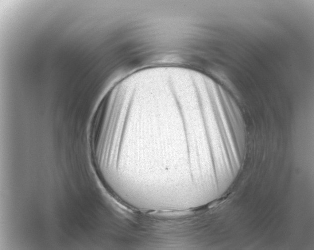 X0000066021475200603312036