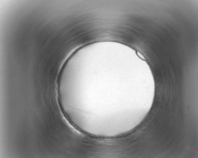 X0000066021476200603312036