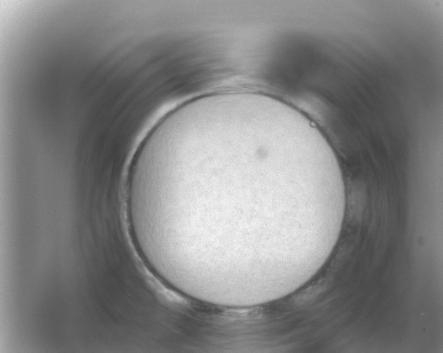 X0000066021478200603312036