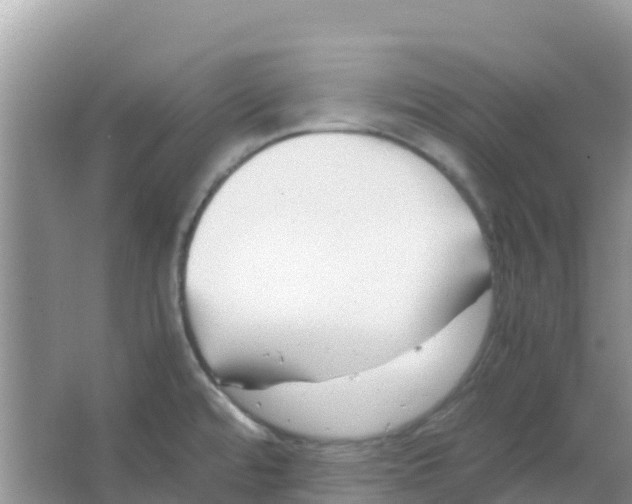 X0000066021480200603312036