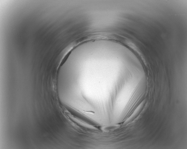 X0000066021481200603312036