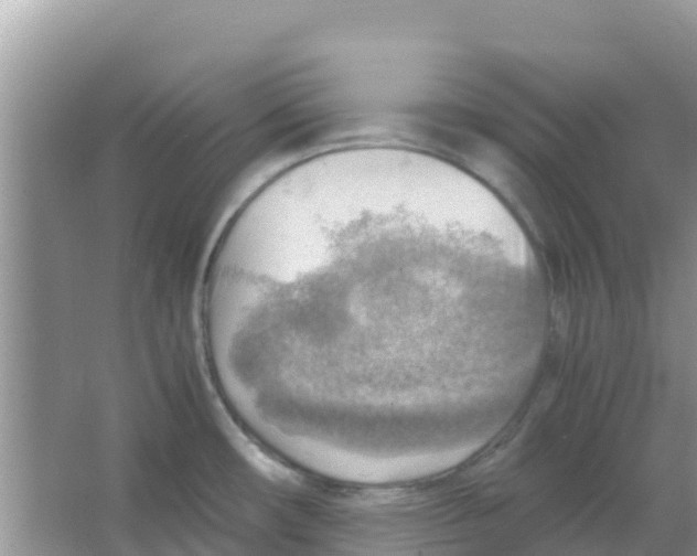 X0000066021482200603312036