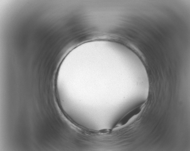 X0000066021483200603312036