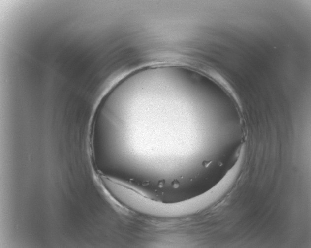 X0000066021485200603312036