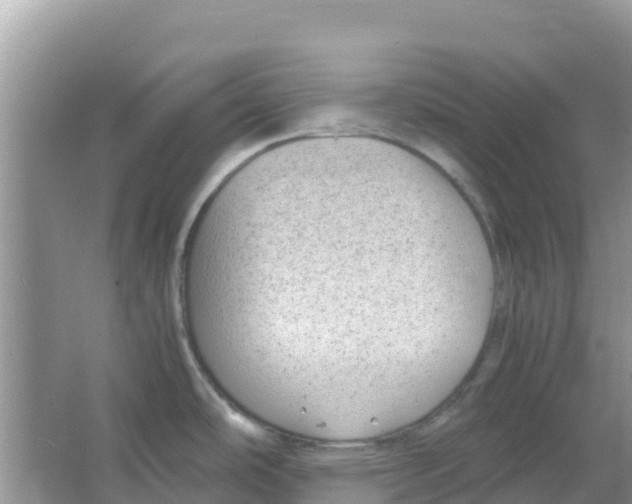 X0000066021486200603312036