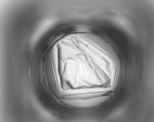 X0000066021487200603312036