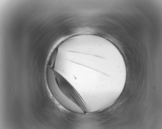 X0000066021488200603312036