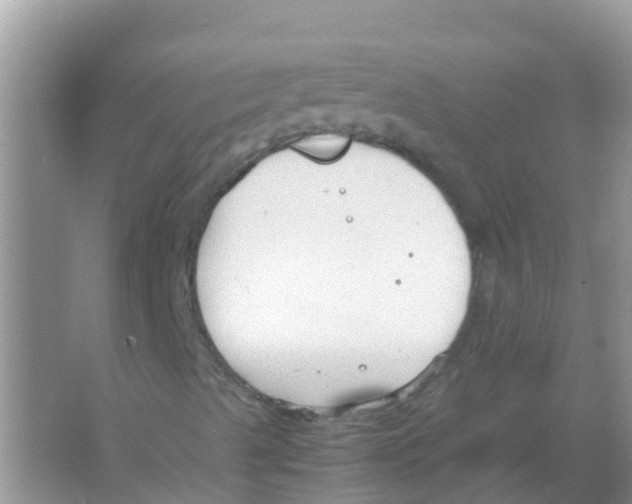 X0000066021489200603312035