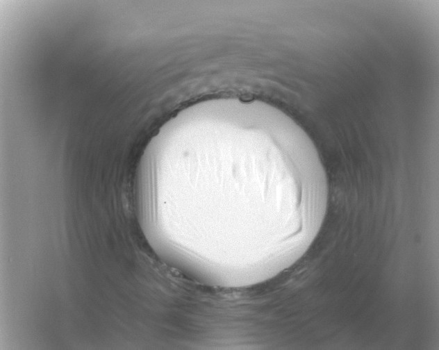 X0000066021490200603312035