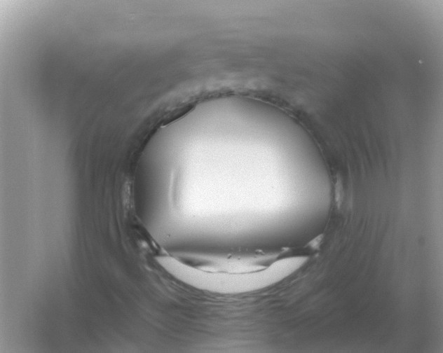 X0000066021492200603312035