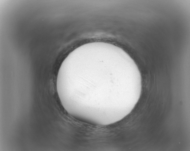 X0000066021493200603312035