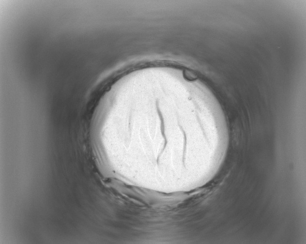 X0000066021494200603312035