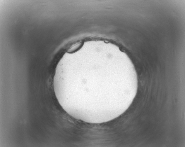 X0000066021495200603312035