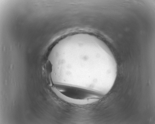 X0000066021496200603312035