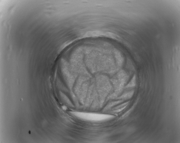 X0000066021497200603312035