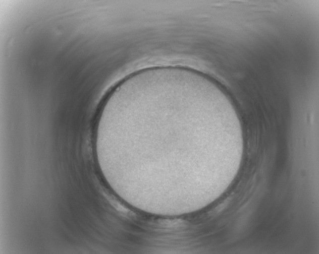 X0000066021498200603312035