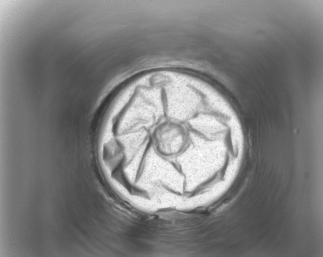 X0000066021501200603312035