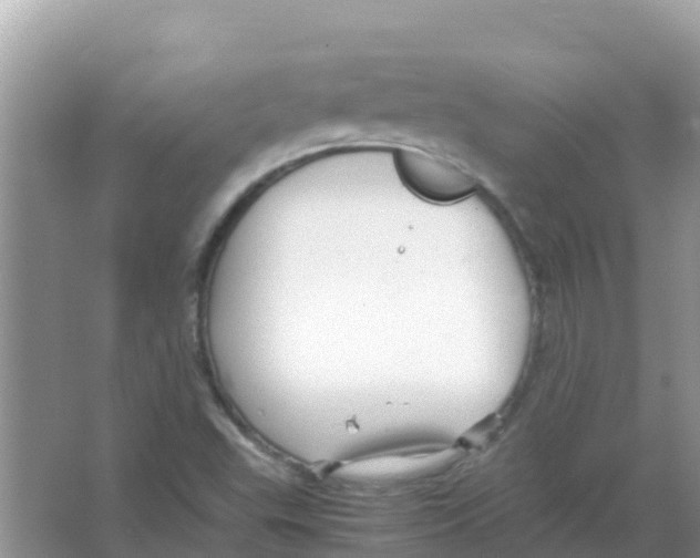 X0000066021503200603312035