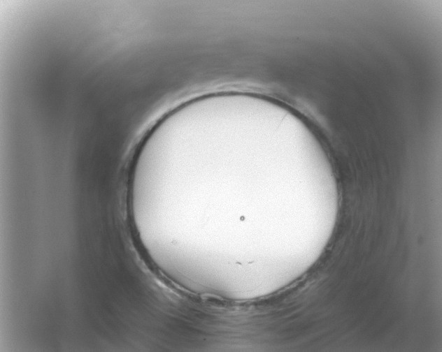 X0000066021504200603312035