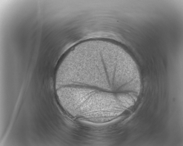 X0000066021505200603312035