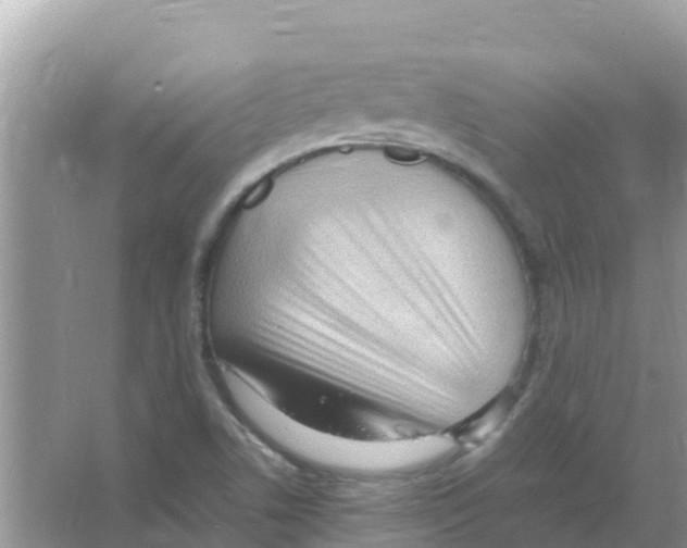 X0000066021506200603312035