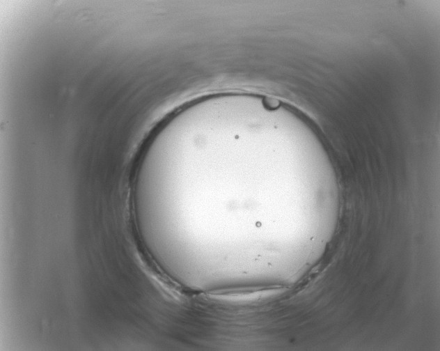 X0000066021507200603312035