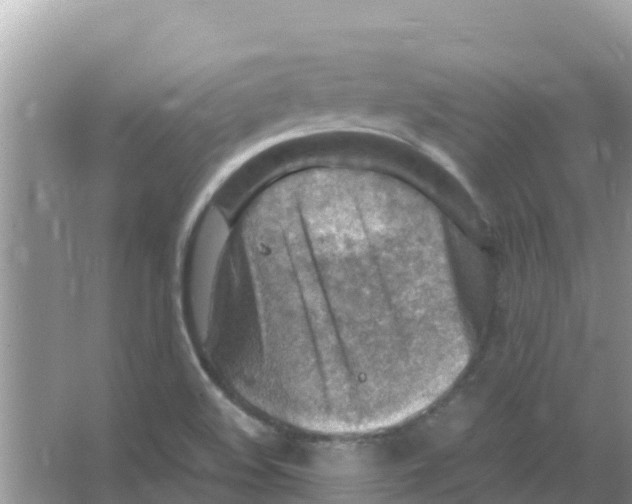 X0000066021508200603312035