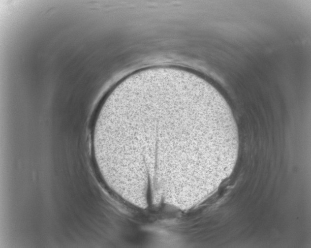 X0000066021509200603312035