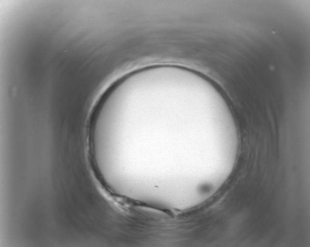 X0000066021511200603312035