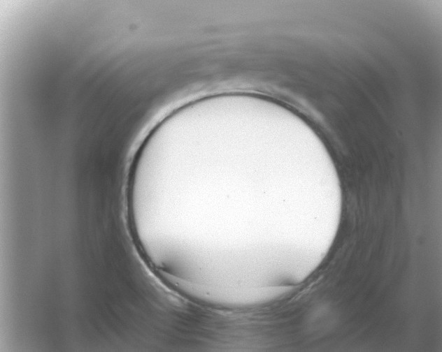 X0000066021512200603312035