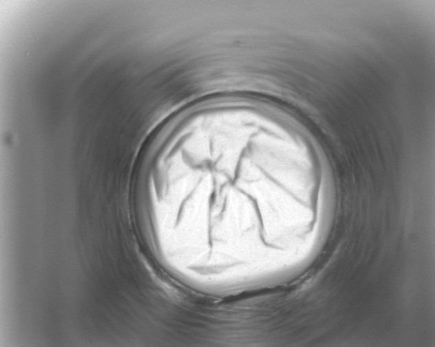 X0000066021513200603312035