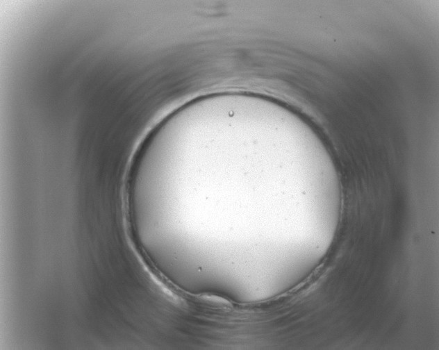 X0000066021517200603312035