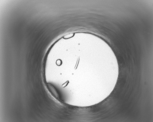 X0000066021518200603312035