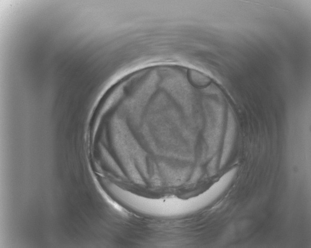 X0000066021519200603312035