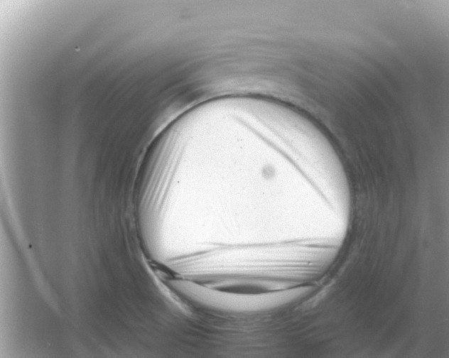 X0000066021521200603312036