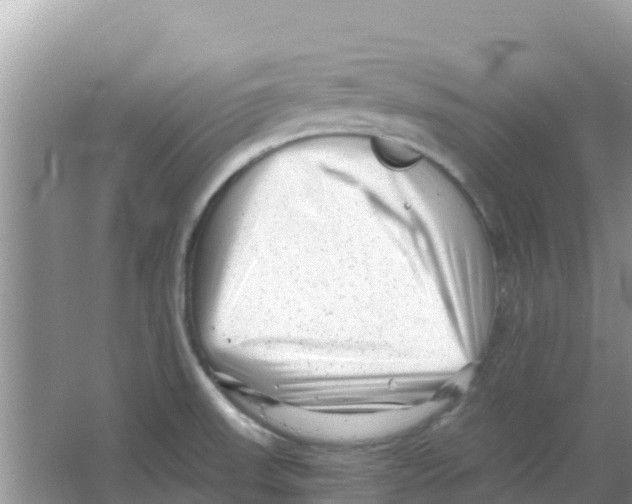 X0000066021523200603312036