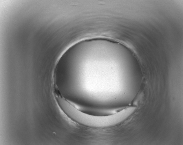 X0000066021524200603312036