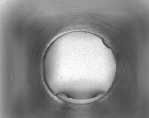 X0000066021526200603312036