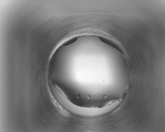 X0000066021530200603312036