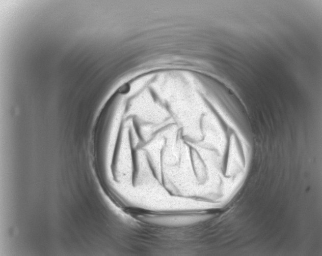 X0000066021531200603312036