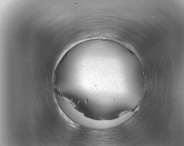 X0000066021532200603312036