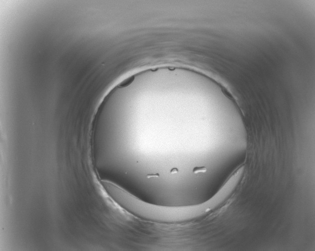 X0000066021534200603312036