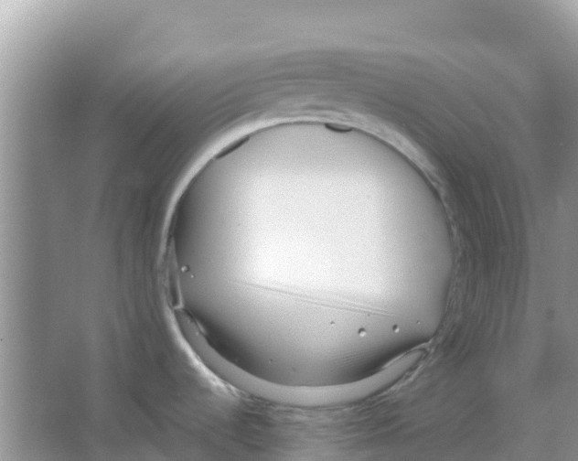 X0000066021536200603312036