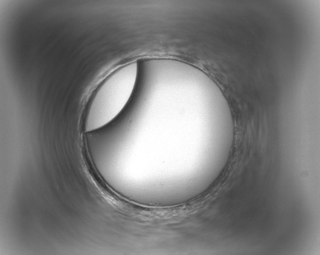 X0000066080005200603100949