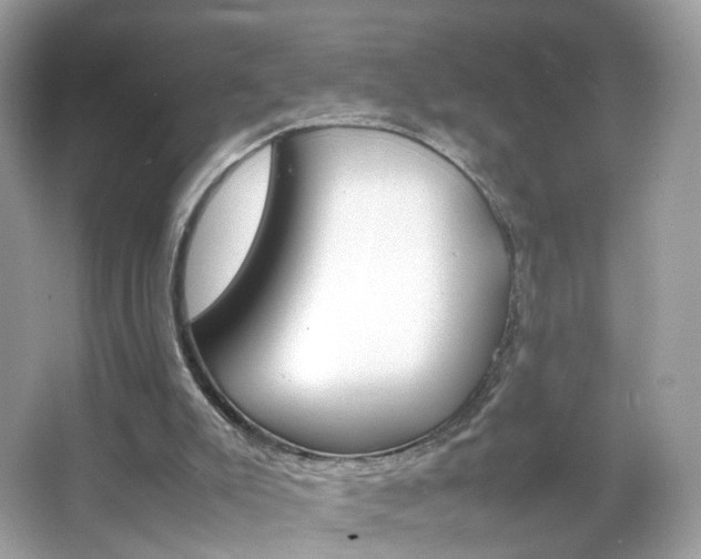 X0000066080007200603100949