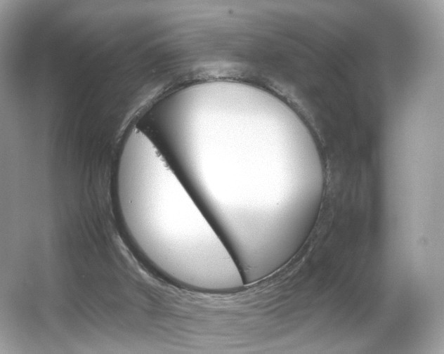 X0000066080010200603100949