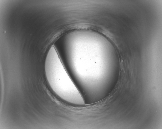 X0000066080013200603100949