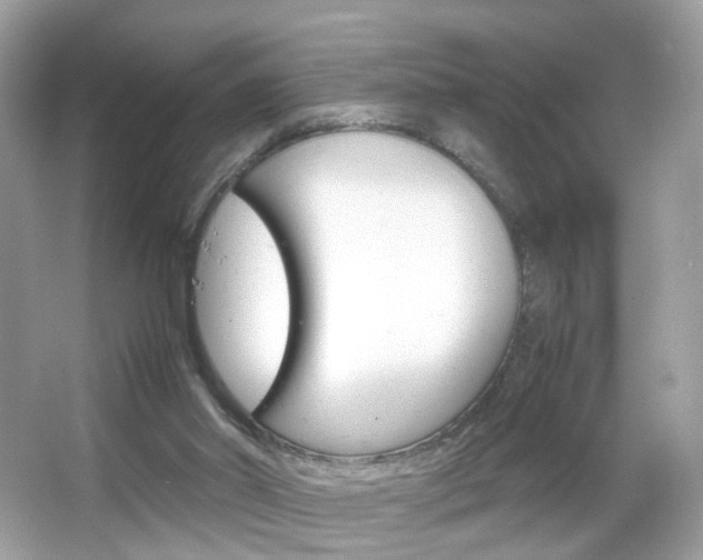 X0000066080014200603100949