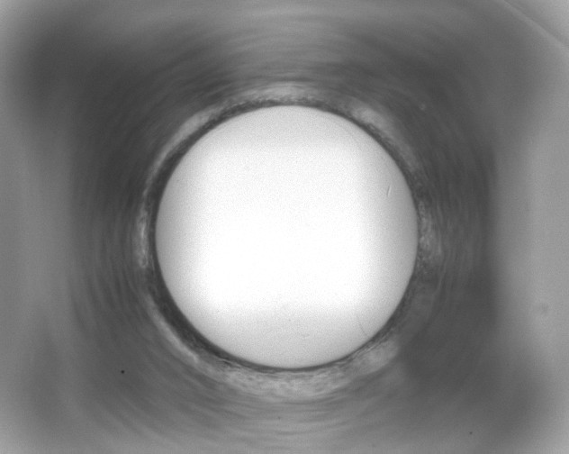 X0000066080016200603100949